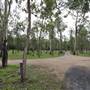 Murray Falls (Girramay National Park)