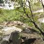 Murray Falls (Girramay National Park)