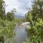 Murray Falls (Girramay National Park)