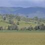 Country Valley Road