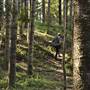 Bonogin Backlot & Pine Forest