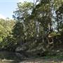 Venus Pools, Stream & Forest