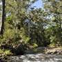 Venus Pools, Stream & Forest