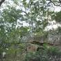 Natural Bridge - Springbrook National Park
