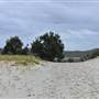 Mulgumpin (Moreton Island) - Blue Lagoon
