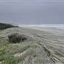 Mulgumpin (Moreton Island) - East Coast Beach