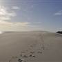 Mulgumpin (Moreton Island) - Big Sand Hills