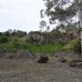 Anstead Bushland Reserve