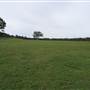 Bushland / Nature Reserve
