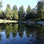 Nerima Gardens - Ipswich