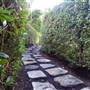 Nerima Gardens - Ipswich