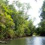 Mulgrave River (Cairns Region)