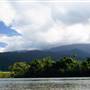 Mulgrave River (Cairns Region)