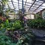 Queenspark Greenhouse