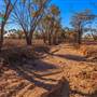 Age Of Dinosaurs (Rangelands)