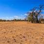 Bladensburg National Park