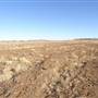 Winton - Kennedy Development Rd