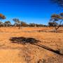 Rangelands Station