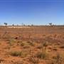 Winton-Jundah Road