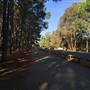 Pine Forest, Riverside Skate Park & Open Sports Fields - Pizzey Park