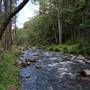 Hinterland Stream with Forest & Paddock