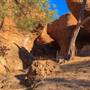 Rock Cavern (Rangelands Station)