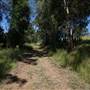 High Country Dirt Track