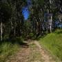 High Country Dirt Track