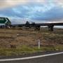 Cambooya Rail Bridge