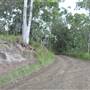 Dirt Road / Wilderness / Pastures