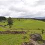 Rolling Hills & Rural Valley Road
