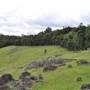 Rolling Hills & Rural Valley Road