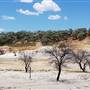 Winton Hills