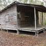 Harrys Hut Area (Noosa Everglades)