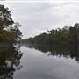 Harrys Hut Area (Noosa Everglades)