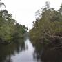 The Narrows (Noosa Everglades)