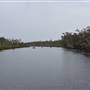 Lake Como (Noosa Everglades)