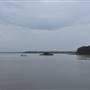 Lake Cootharaba (Noosa Everglades)
