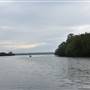 Johns Landing (Noosa Everglades)