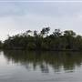 Johns Landing (Noosa Everglades)