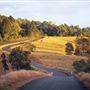 Bunya Mountains