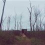 Wooroolin Wetlands