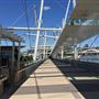 Kurilpa Bridge