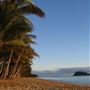 Palm Cove - Beach / Coastline
