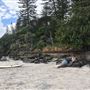 Coolangatta - Marine Parade / Beach