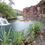 Lawn Hill Gorge (Camooweal Region)