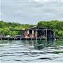Remote Island Hideaway - Mudflats