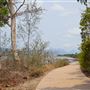 Cardwell - Coastline & Jetty
