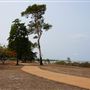 Cardwell - Coastline & Jetty