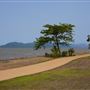 Cardwell - Coastline & Jetty